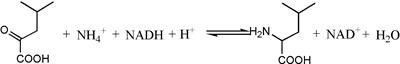 Cloning and Expression of a Novel Leucine Dehydrogenase: Characterization and L-tert-Leucine Production